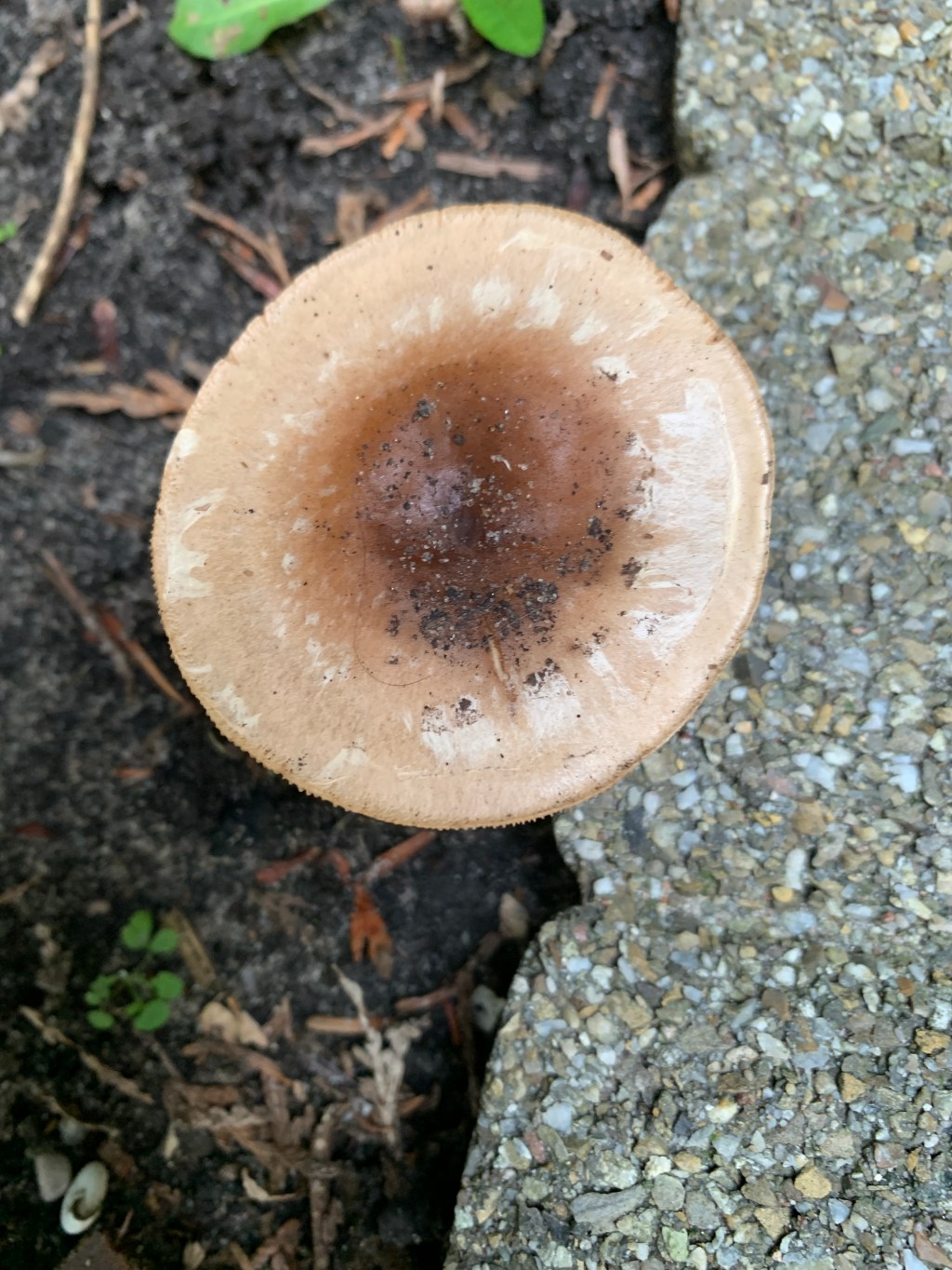 Ik zie ik&nbsp;zie…